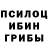 Псилоцибиновые грибы GOLDEN TEACHER mag sawle___