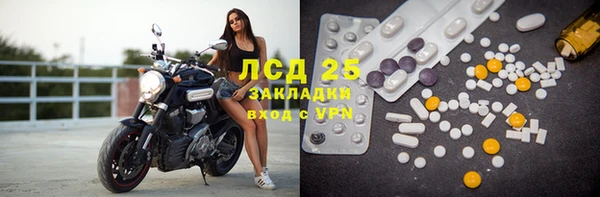 шишки Новокубанск