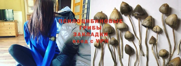 гидра Новодвинск